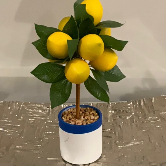 EUC Lemon Tree Home Accent in Blue and White Pot - Picture 2 of 3